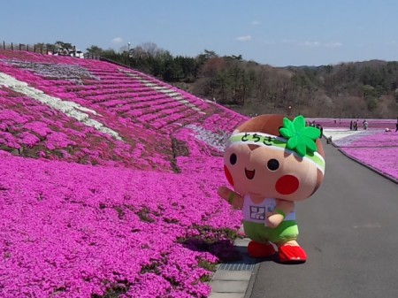 芝ざくら公園